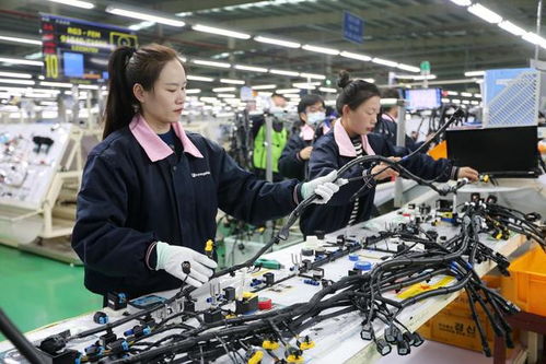 年薪20万为何难留年轻人？文化用品工厂的困境与反思